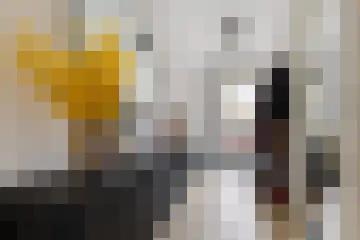 Eekschillersdreef 410 Apeldoorn thumbnail 22