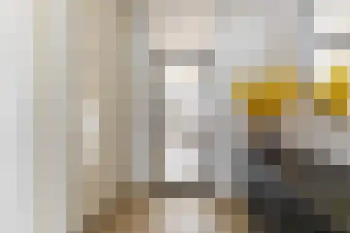 Eekschillersdreef 410 Apeldoorn thumbnail 24
