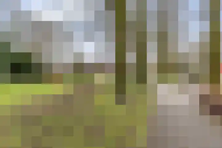 Eekschillersdreef 410 Apeldoorn thumbnail 34