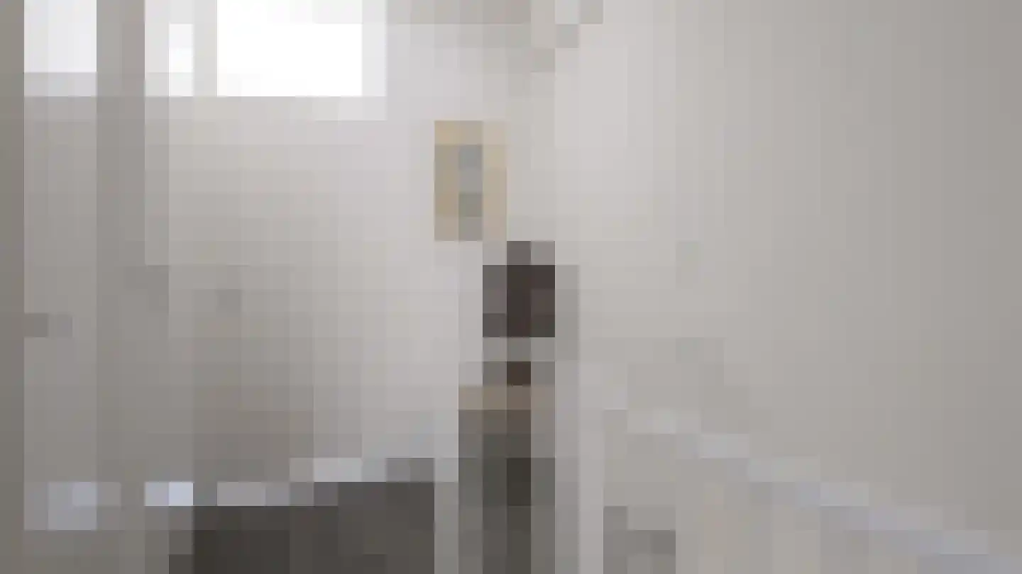 Eekschillersdreef 414 Apeldoorn thumbnail 16