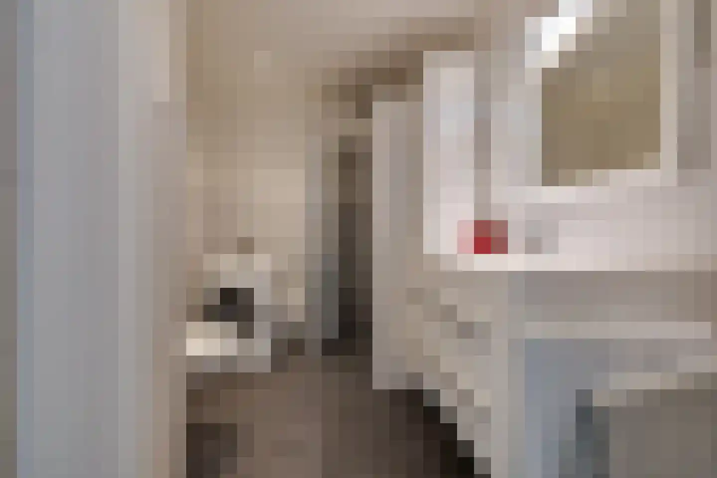 Eekschillersdreef 414 Apeldoorn thumbnail 19