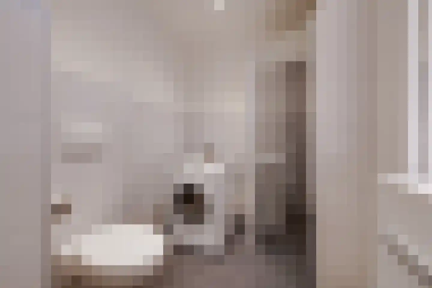 Eekschillersdreef 414 Apeldoorn thumbnail 20