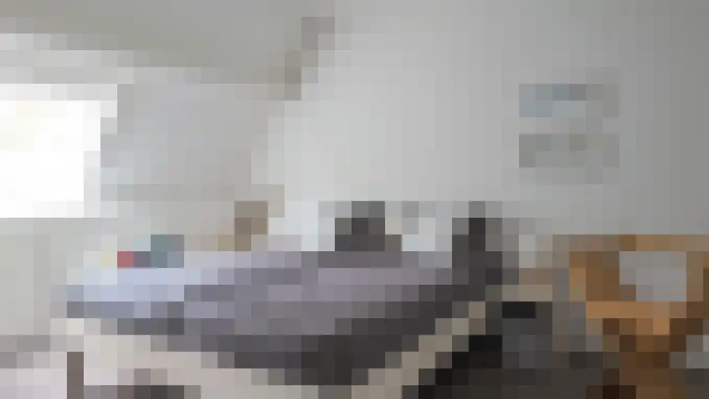 Eekschillersdreef 414 Apeldoorn thumbnail 22
