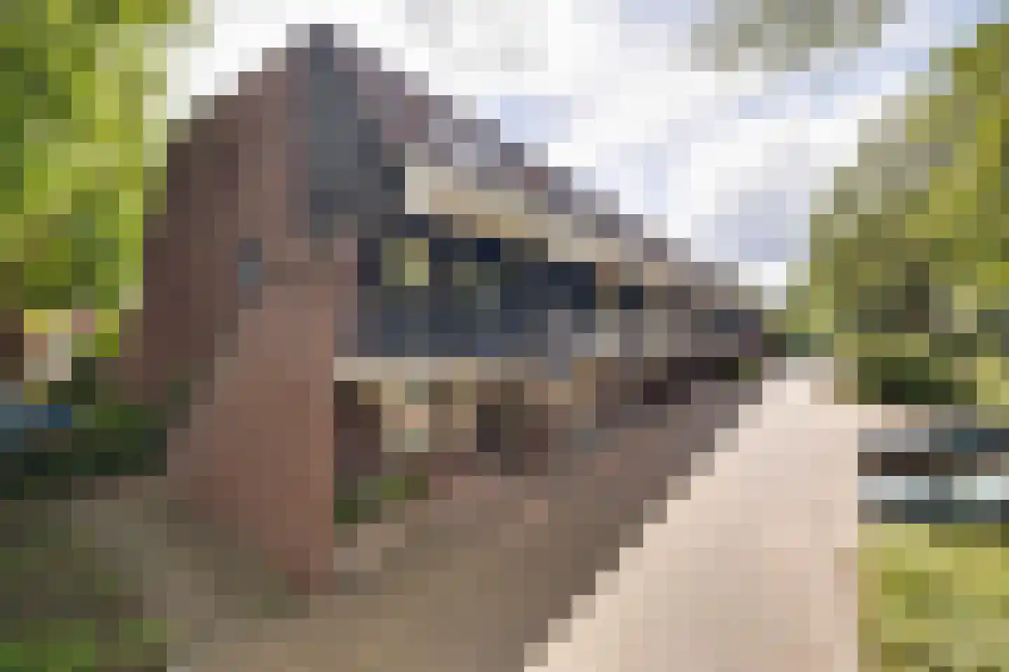 Eekschillersdreef 414 Apeldoorn thumbnail 30