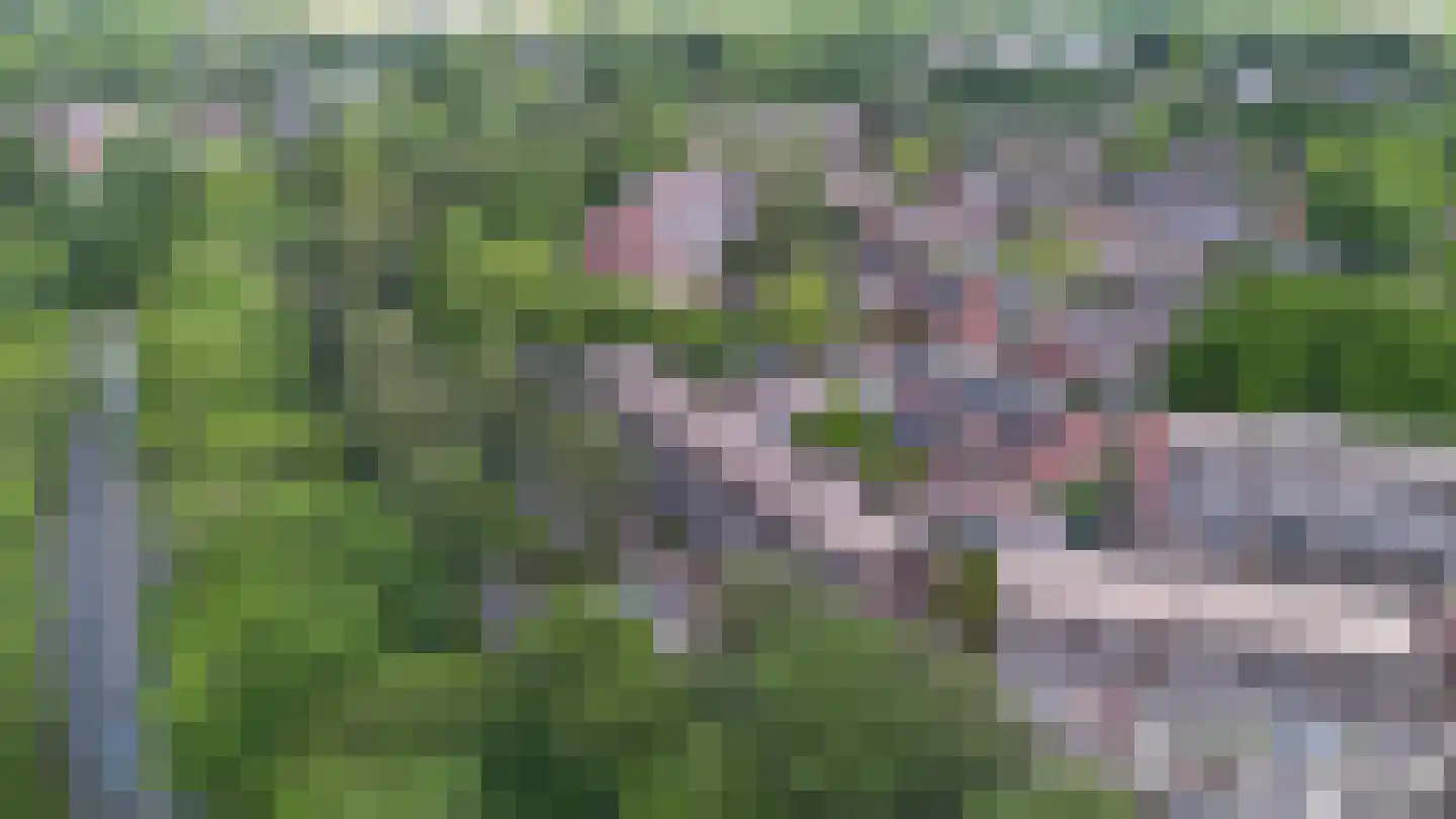 Eekschillersdreef 414 Apeldoorn thumbnail 32
