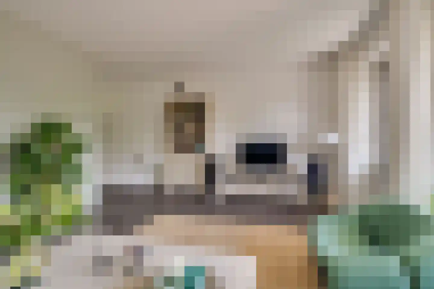 Eekschillersdreef 414 Apeldoorn thumbnail 5