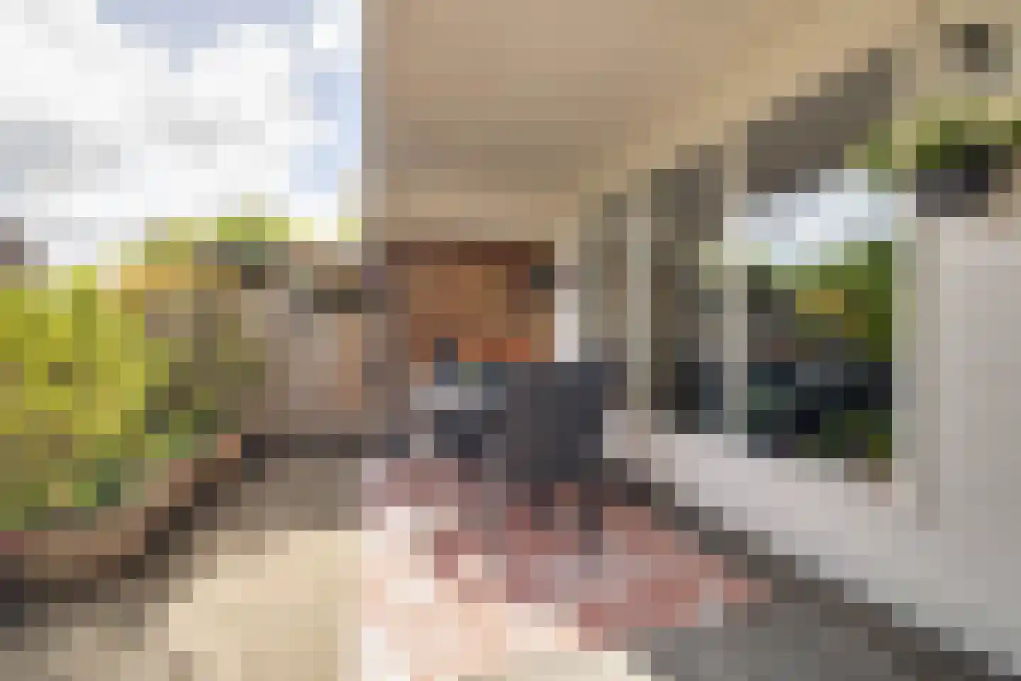 Eekschillersdreef 414 Apeldoorn thumbnail 6