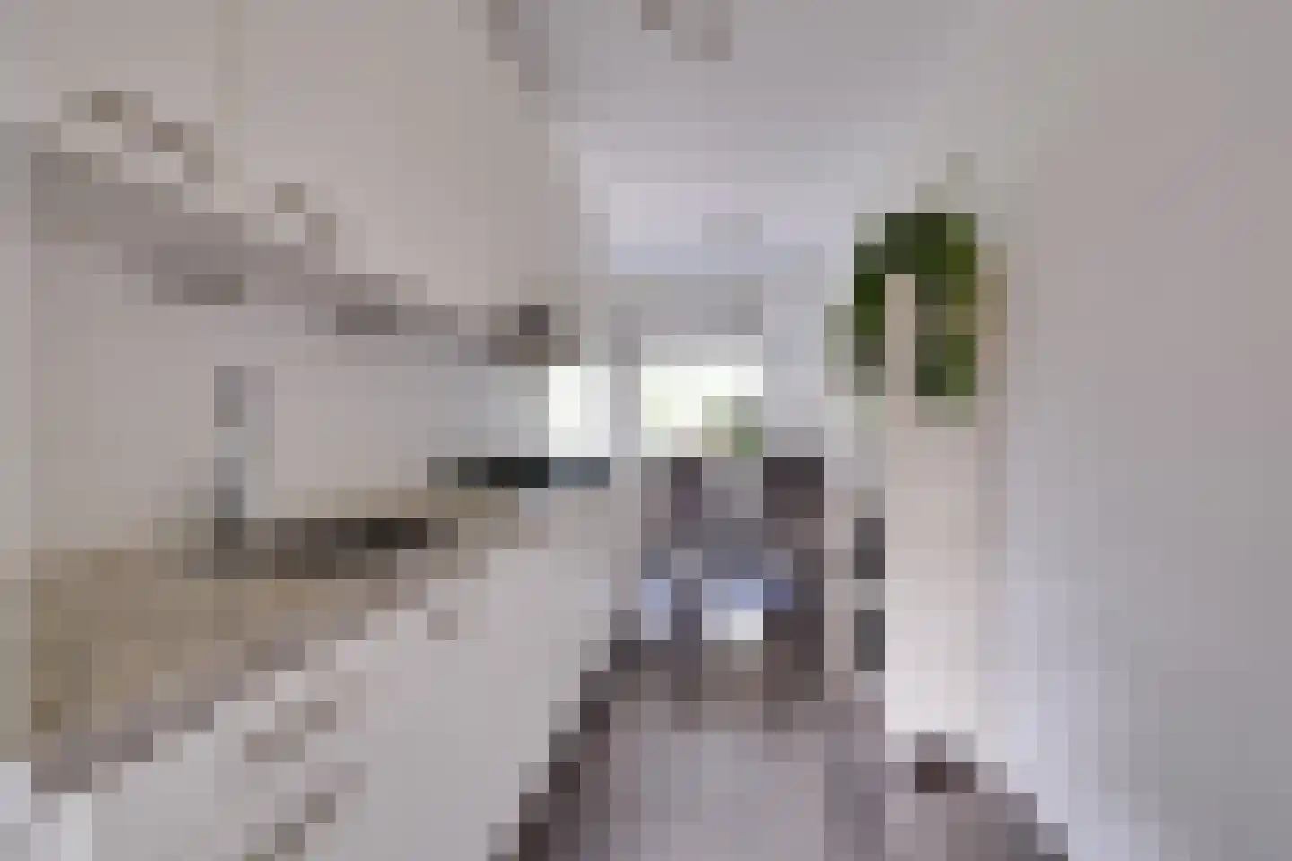 Eekschillersdreef 414 Apeldoorn thumbnail 9