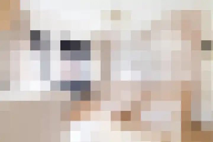 Eekschillersdreef 507 Apeldoorn thumbnail 13