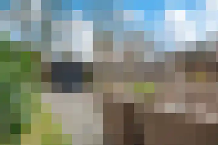 Eekschillersdreef 507 Apeldoorn thumbnail 18