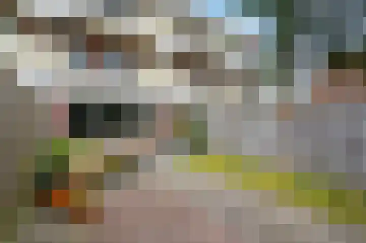 Eekschillersdreef 507 Apeldoorn thumbnail 20