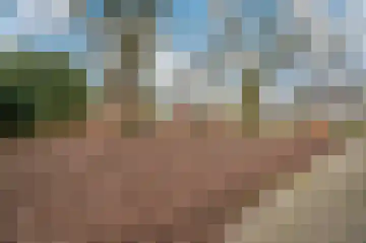 Eekschillersdreef 507 Apeldoorn thumbnail 22