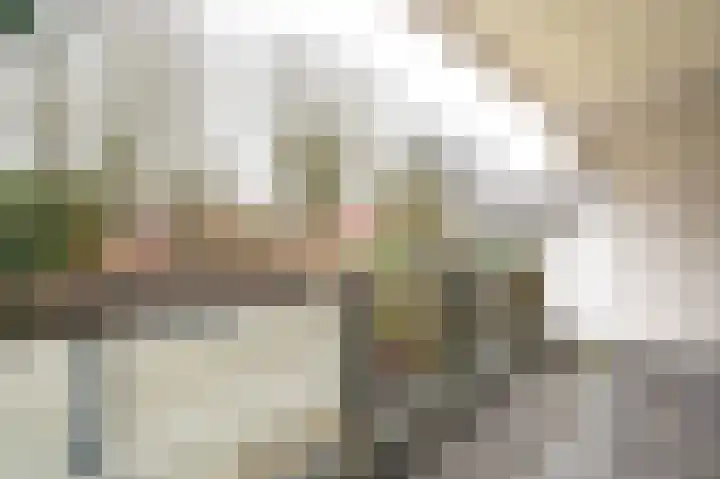 Eekschillersdreef 507 Apeldoorn thumbnail 24