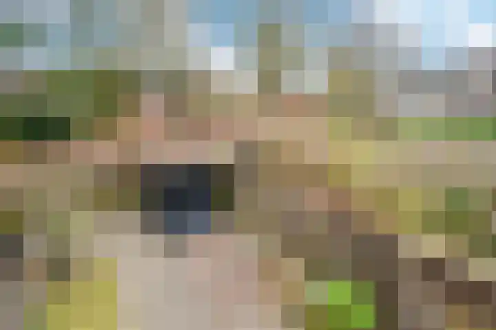 Eekschillersdreef 507 Apeldoorn thumbnail 25