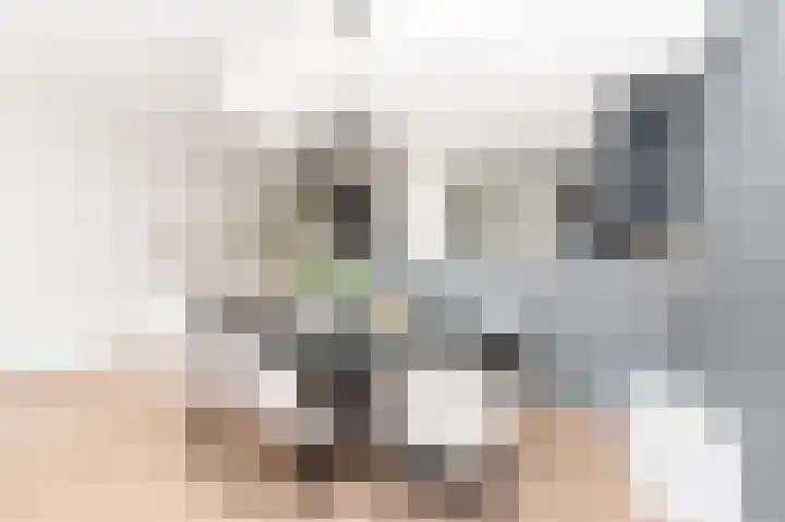 Eekschillersdreef 507 Apeldoorn thumbnail 9