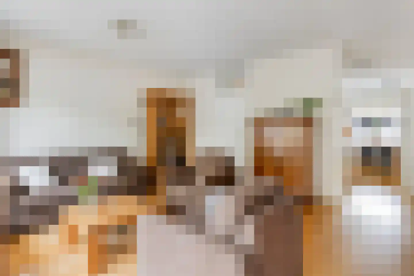Eekschillersdreef 517 Apeldoorn thumbnail 11