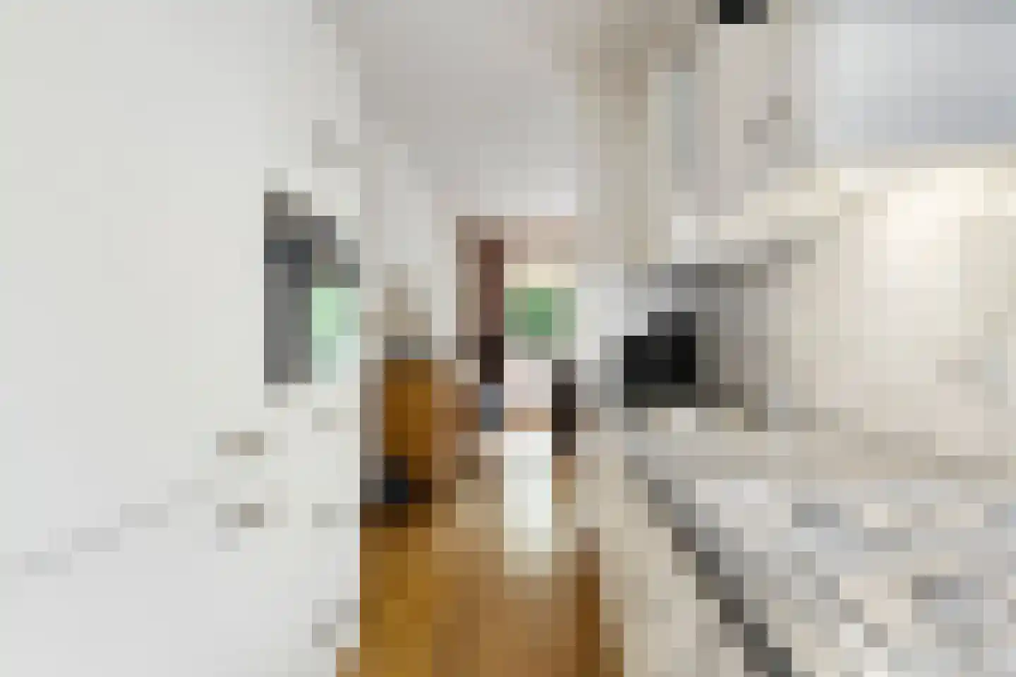 Eekschillersdreef 517 Apeldoorn thumbnail 13