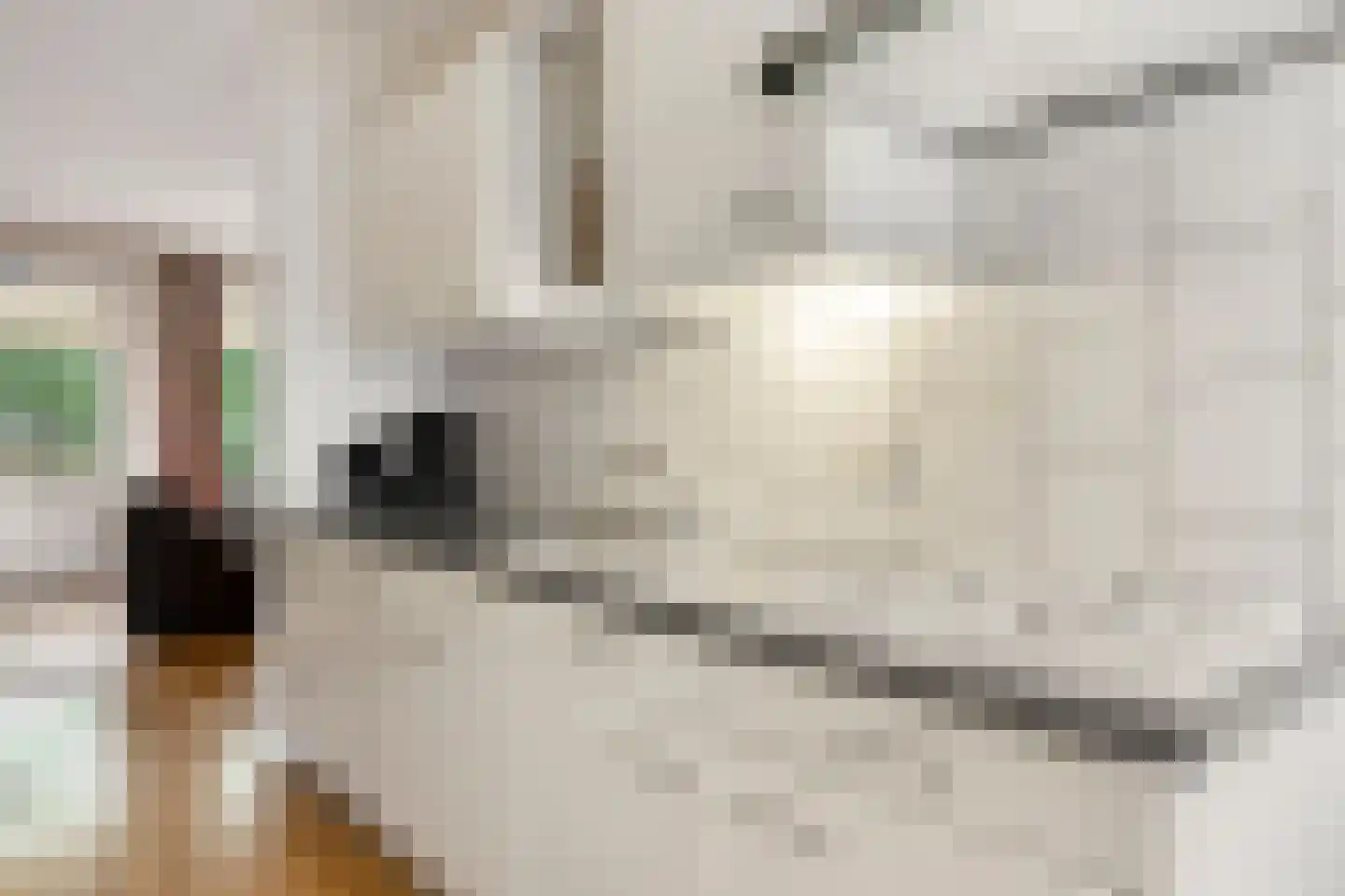 Eekschillersdreef 517 Apeldoorn thumbnail 14