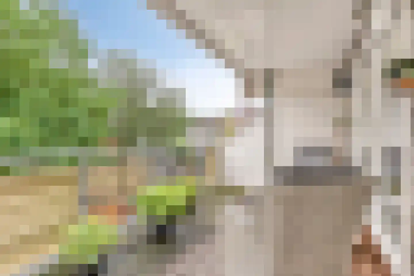 Eekschillersdreef 517 Apeldoorn thumbnail 18