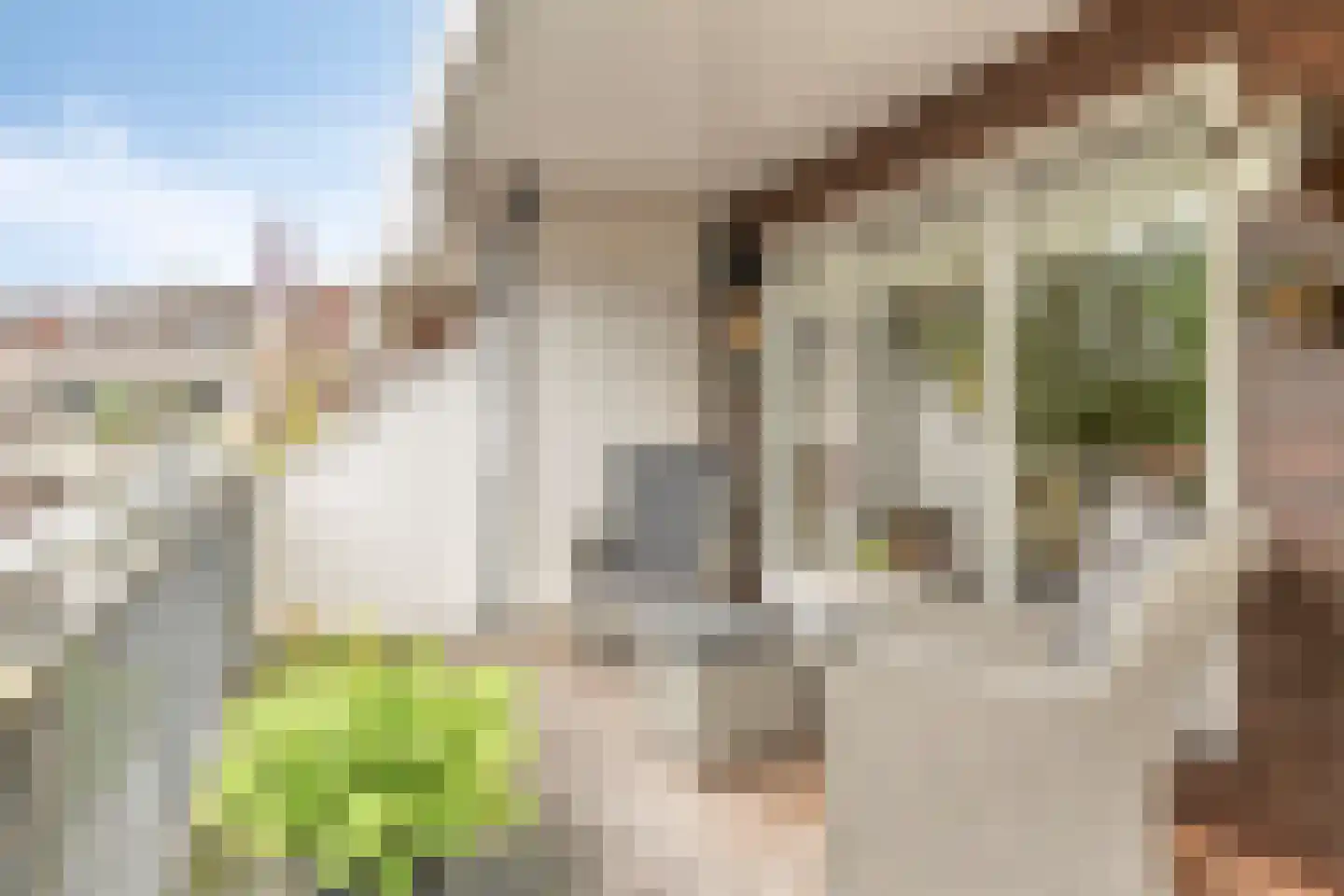 Eekschillersdreef 517 Apeldoorn thumbnail 19