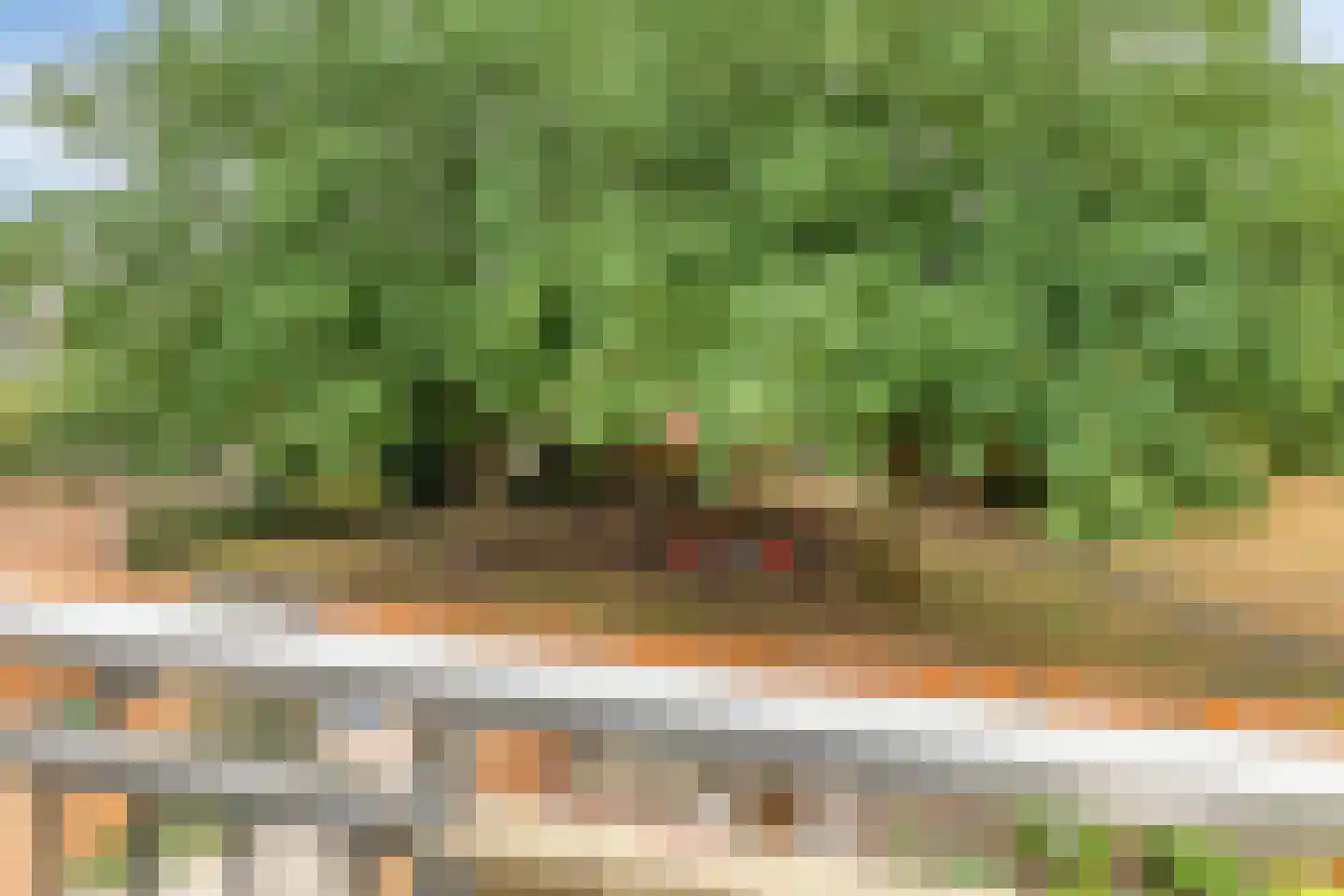 Eekschillersdreef 517 Apeldoorn thumbnail 20