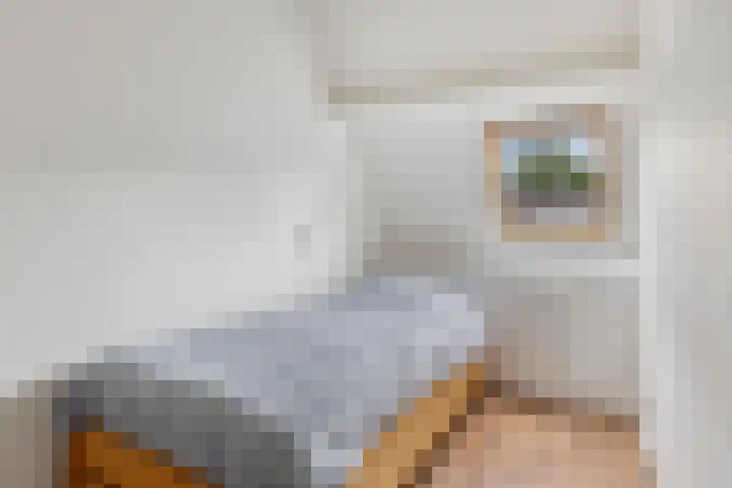 Eekschillersdreef 517 Apeldoorn thumbnail 27