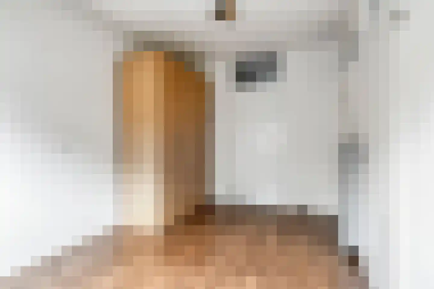 Eekschillersdreef 517 Apeldoorn thumbnail 29