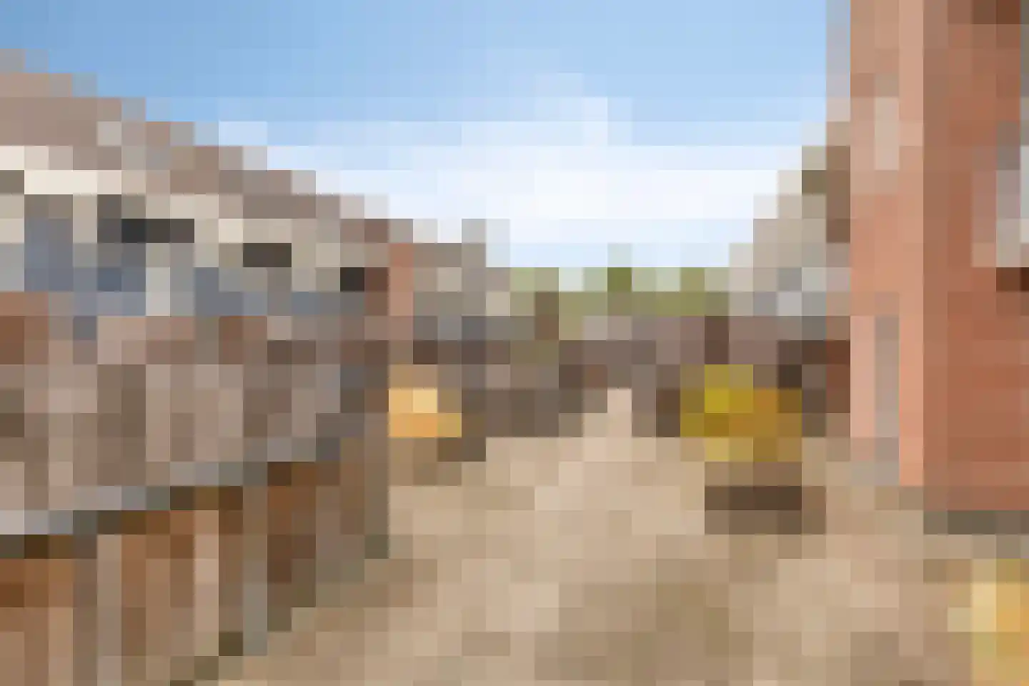 Eekschillersdreef 517 Apeldoorn thumbnail 34