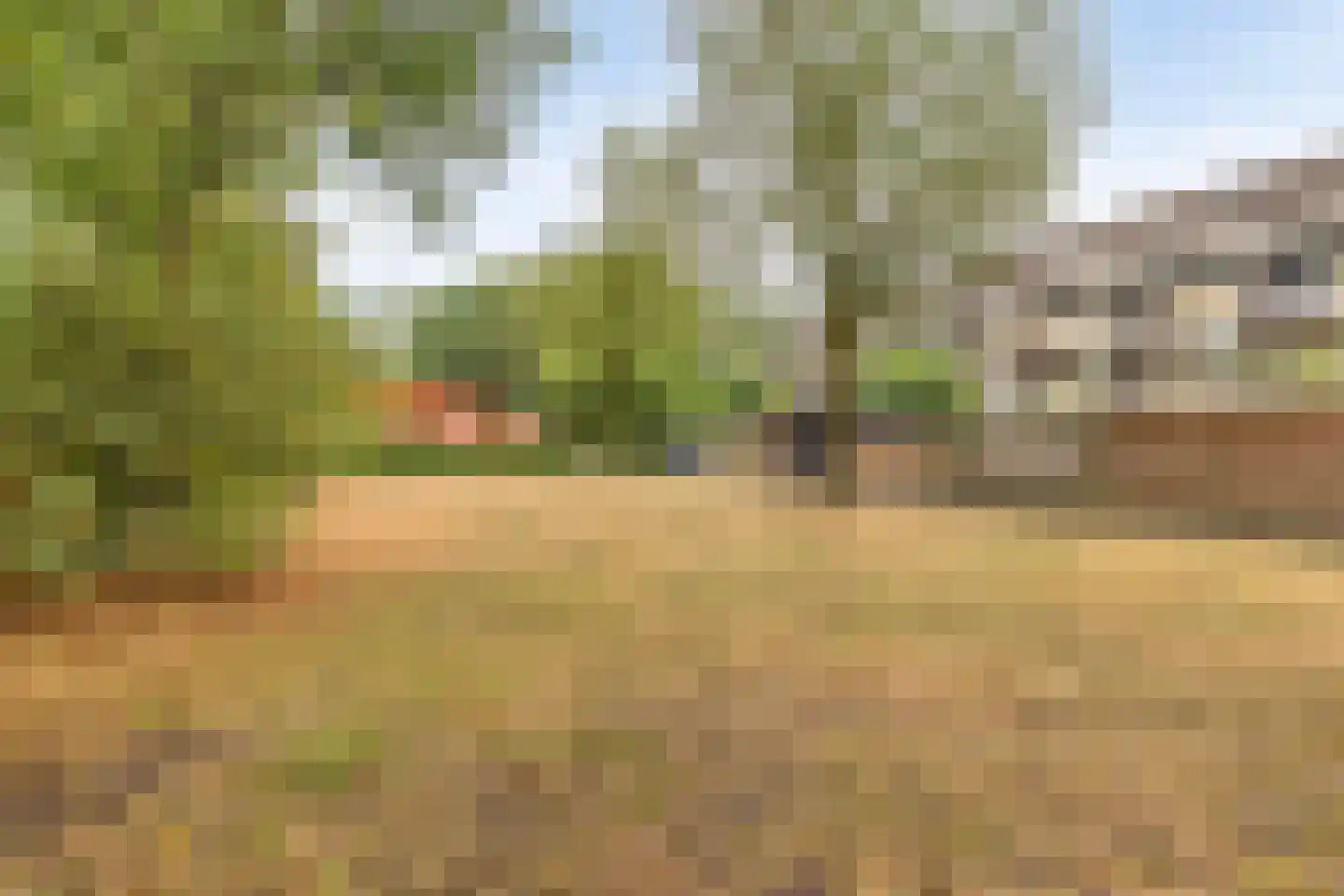 Eekschillersdreef 517 Apeldoorn thumbnail 38