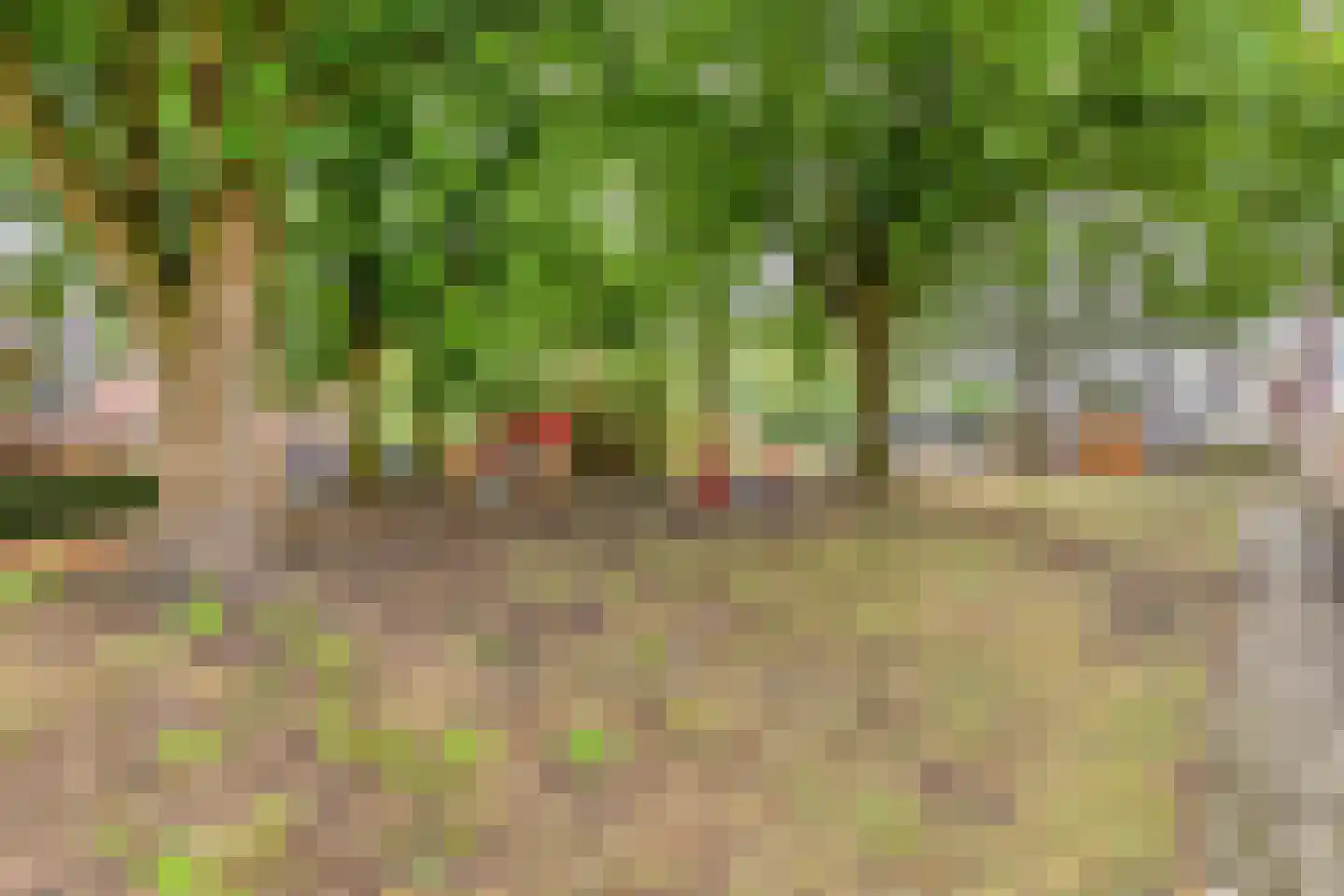 Eekschillersdreef 517 Apeldoorn thumbnail 39