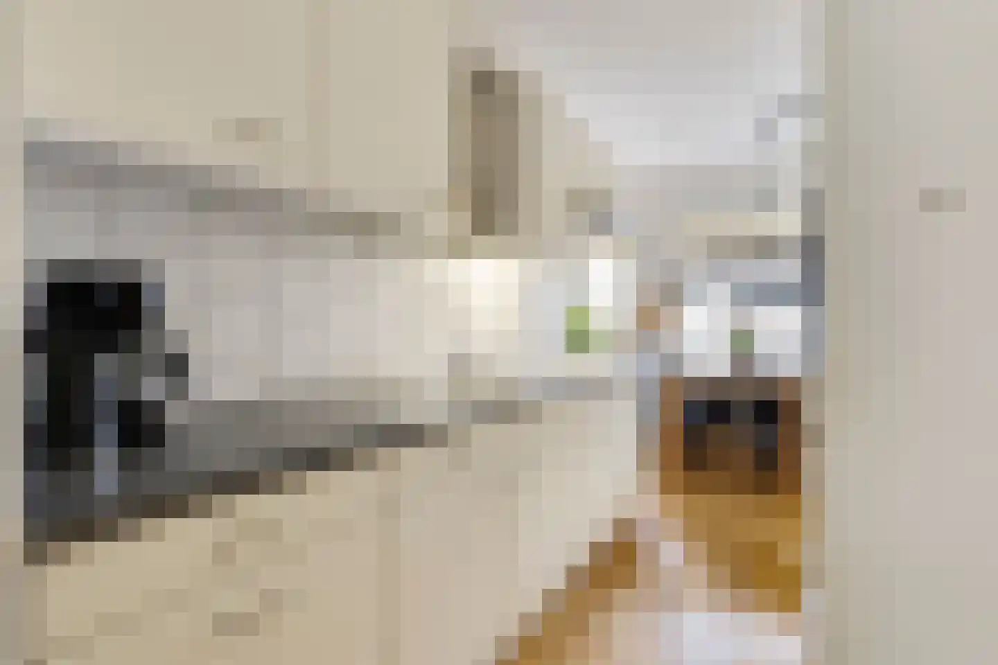 Eekschillersdreef 517 Apeldoorn thumbnail 6
