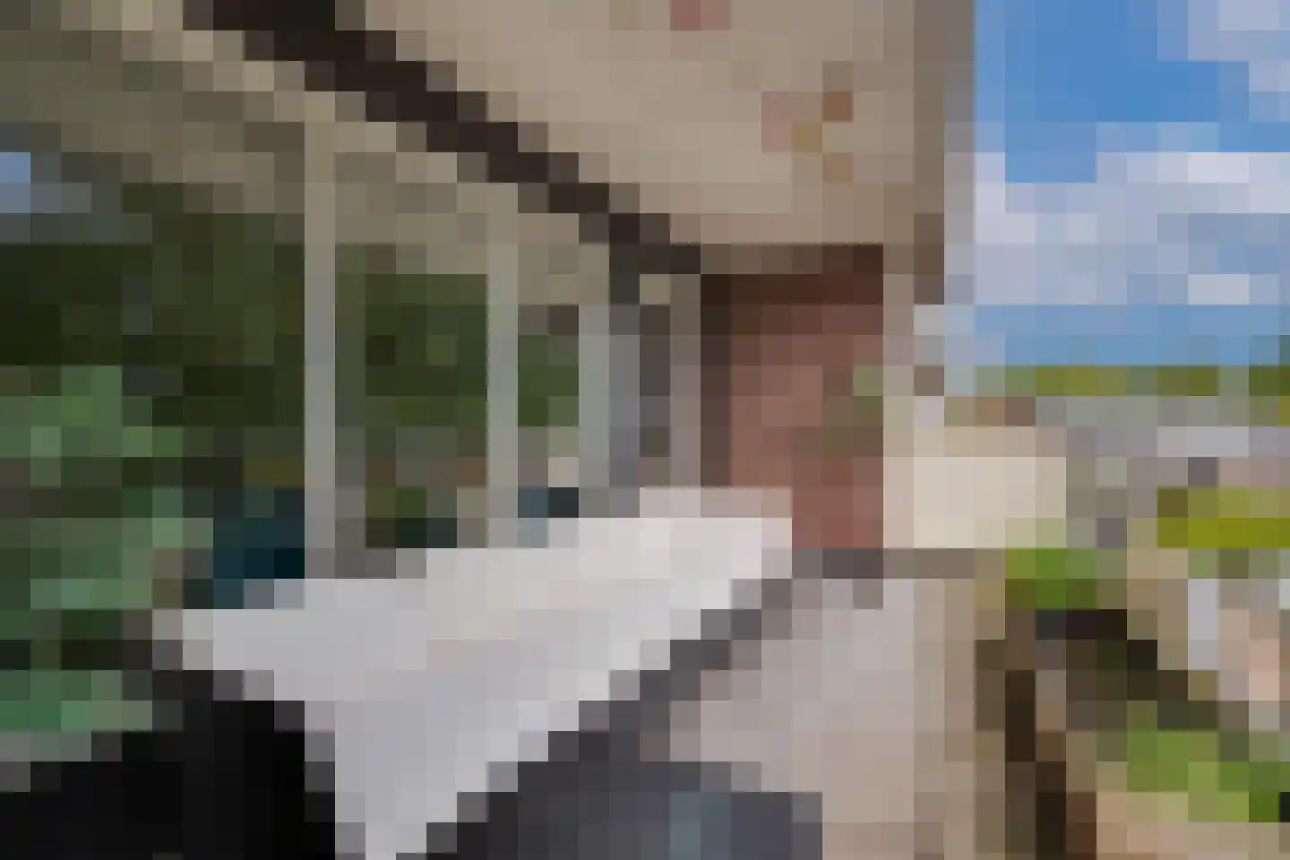 Eekschillersdreef 519 Apeldoorn thumbnail 11