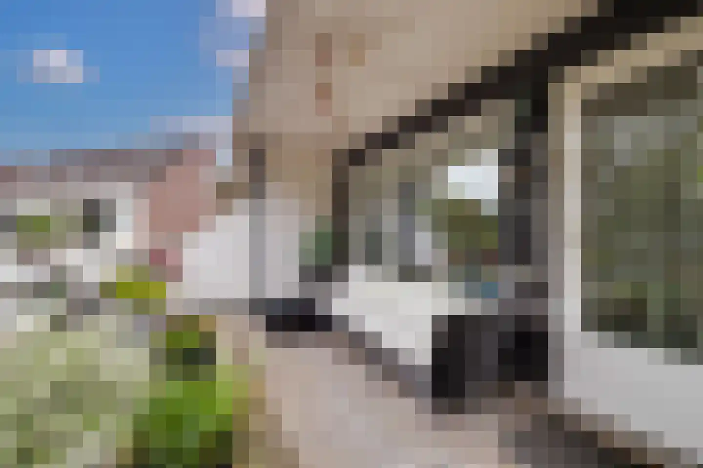 Eekschillersdreef 519 Apeldoorn thumbnail 12