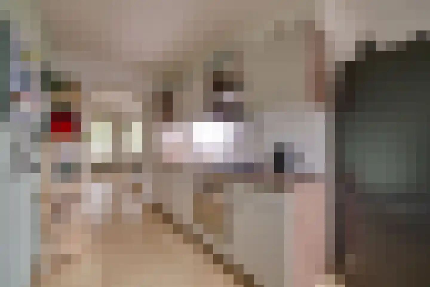 Eekschillersdreef 519 Apeldoorn thumbnail 14