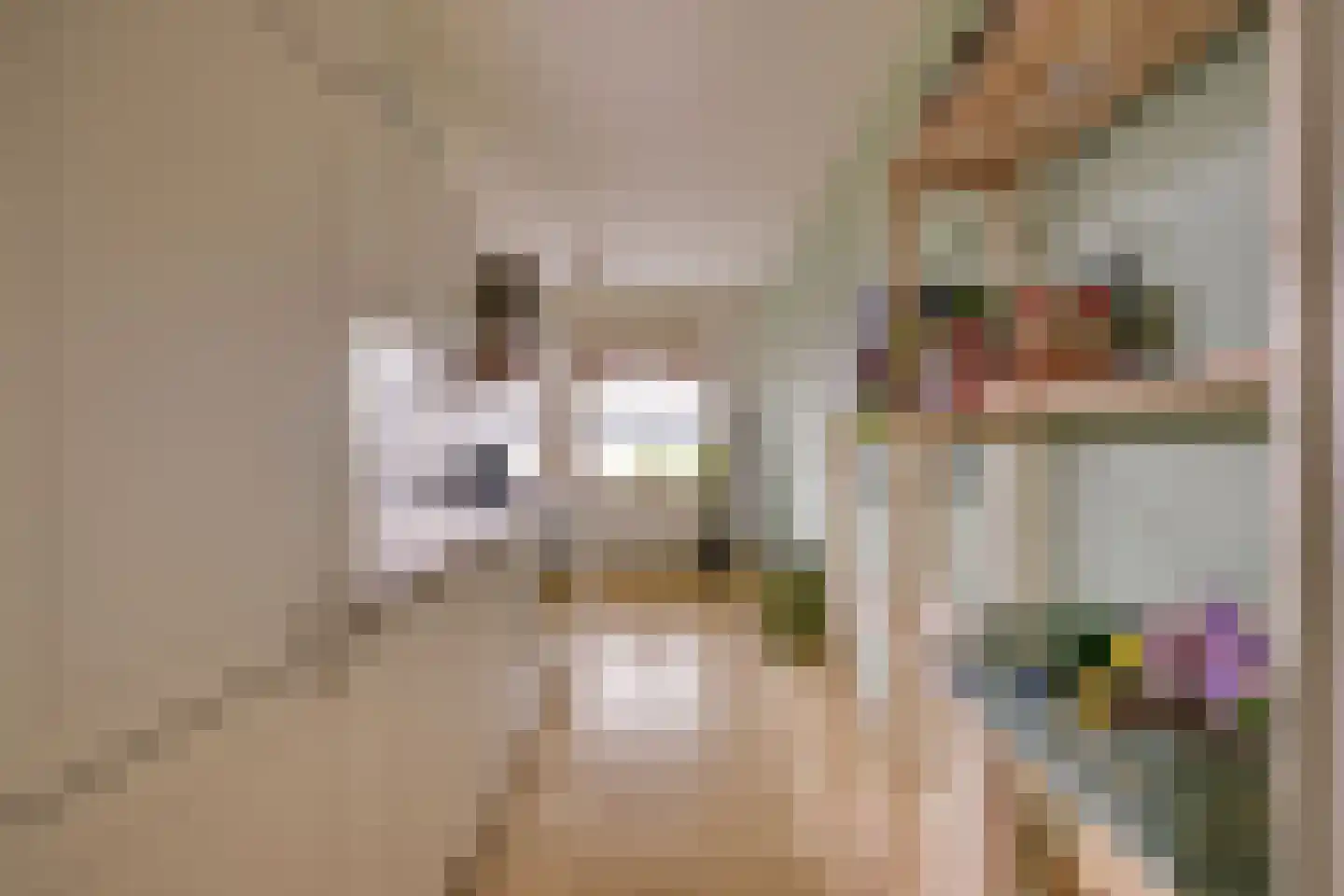 Eekschillersdreef 519 Apeldoorn thumbnail 16
