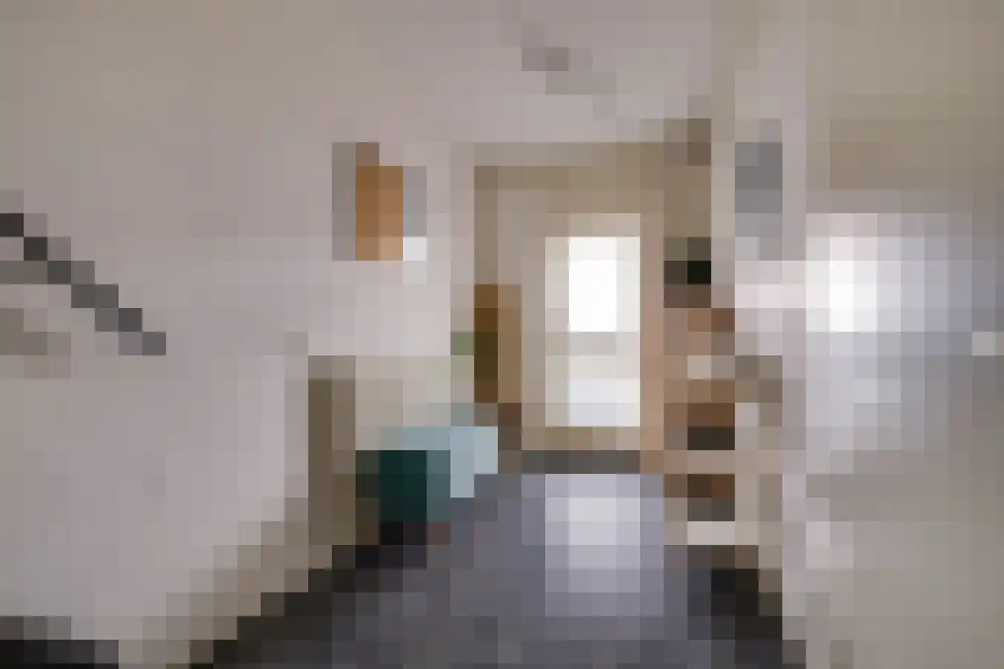 Eekschillersdreef 519 Apeldoorn thumbnail 18