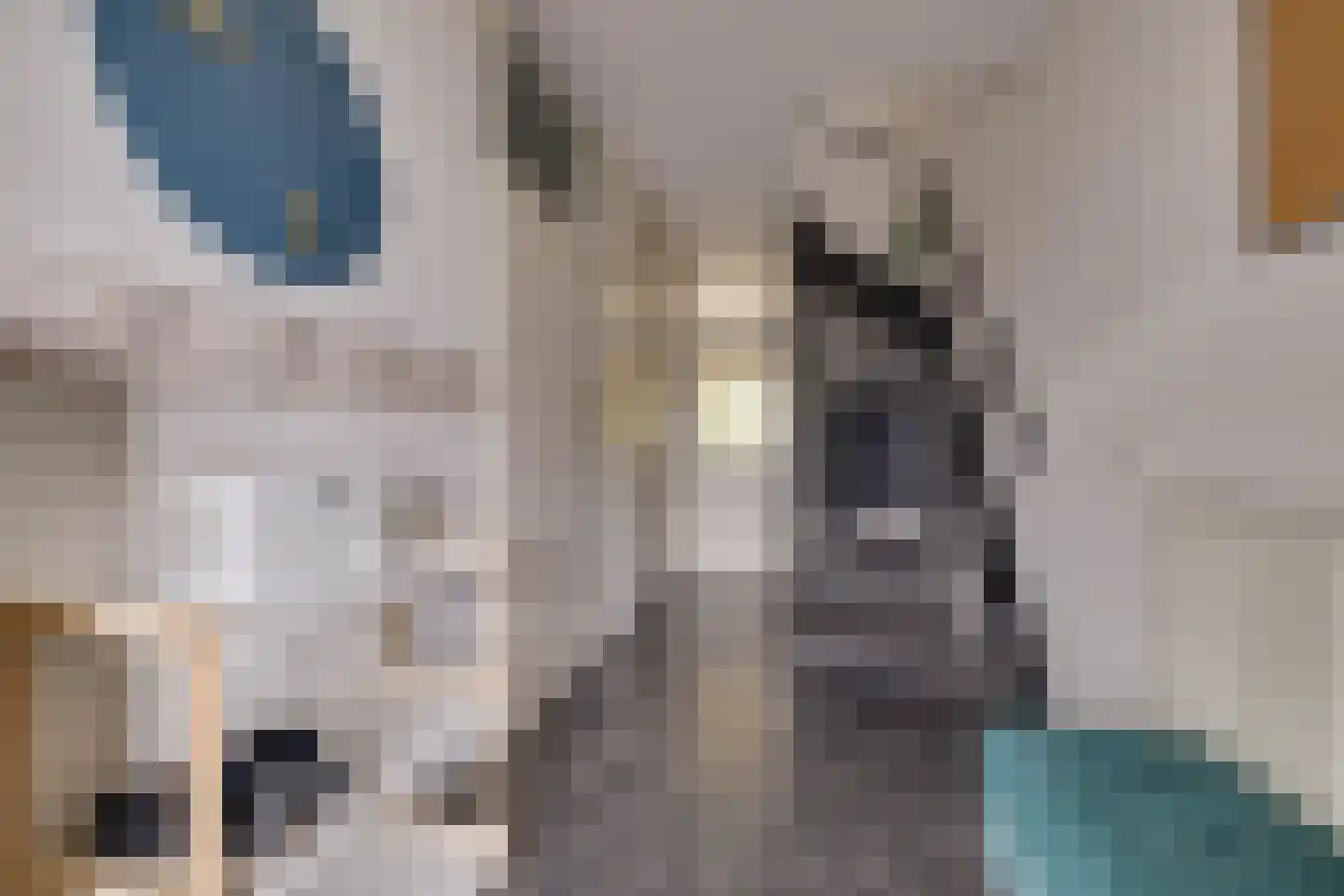 Eekschillersdreef 519 Apeldoorn thumbnail 19