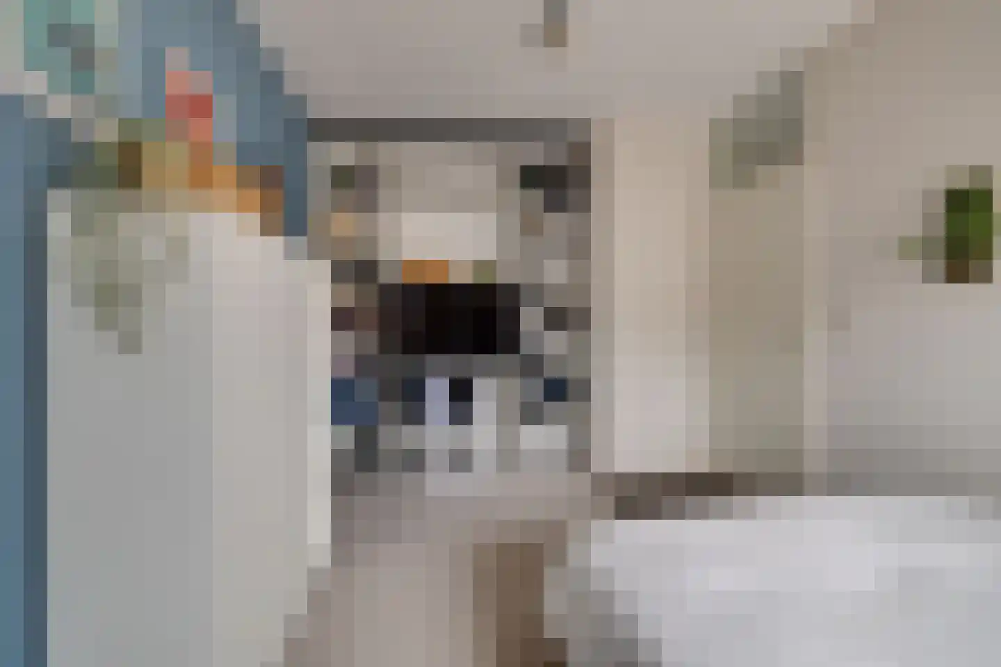 Eekschillersdreef 519 Apeldoorn thumbnail 24