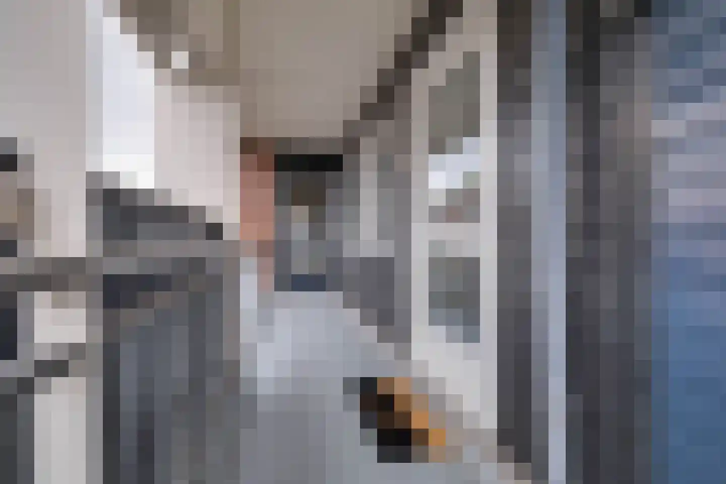 Eekschillersdreef 519 Apeldoorn thumbnail 31