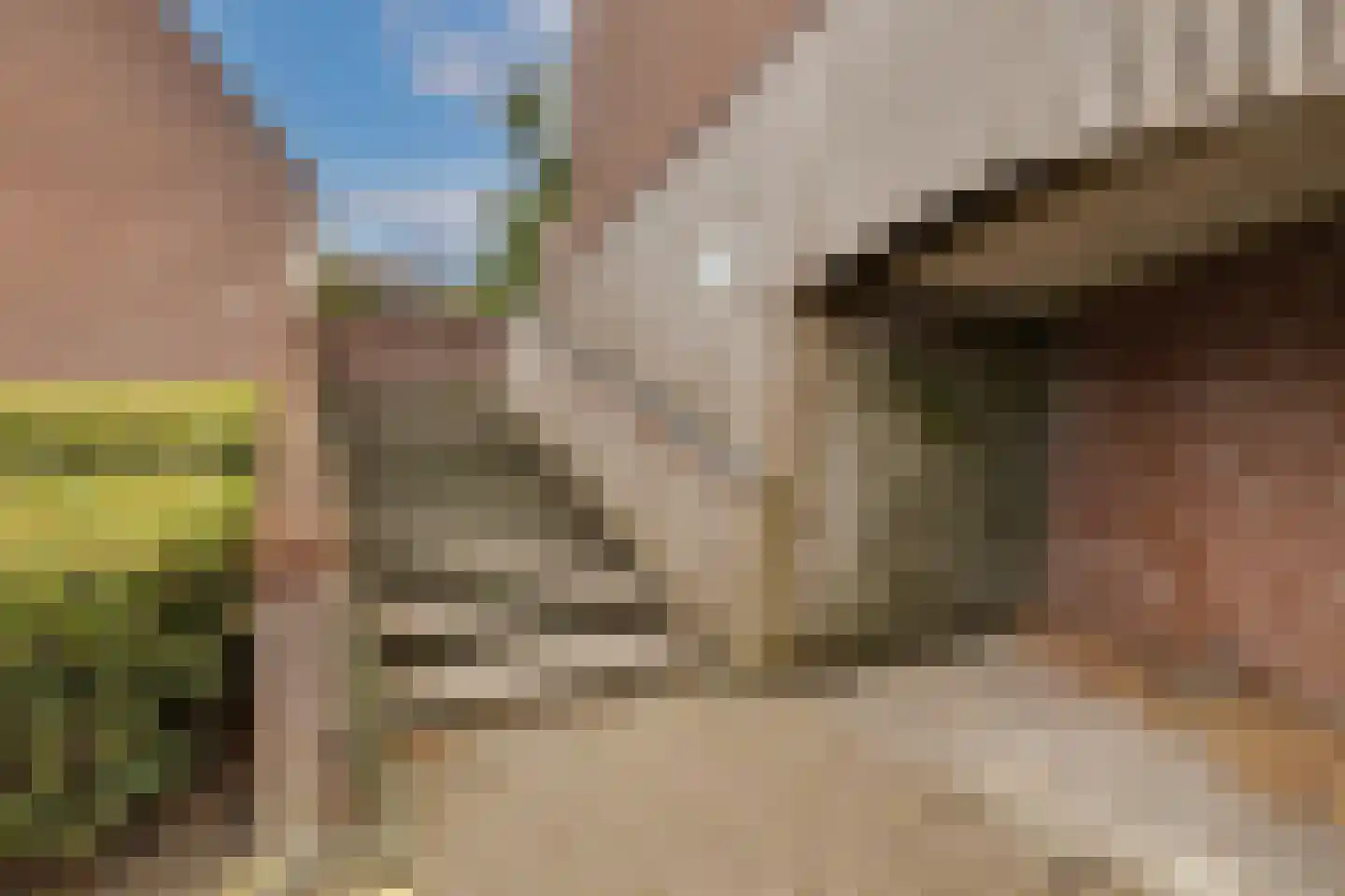 Eekschillersdreef 519 Apeldoorn thumbnail 37
