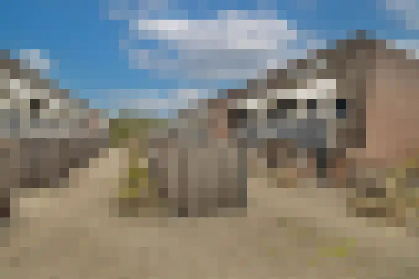 Eekschillersdreef 519 Apeldoorn thumbnail 40