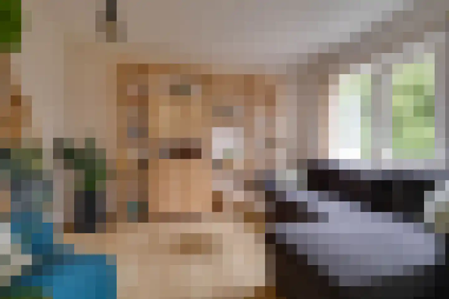 Eekschillersdreef 519 Apeldoorn thumbnail 5