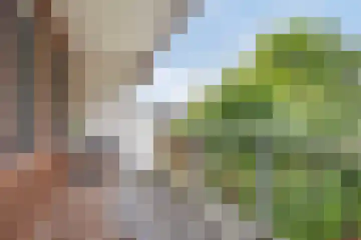 Eekschillersdreef 525 Apeldoorn thumbnail 12