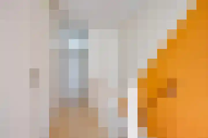 Eekschillersdreef 525 Apeldoorn thumbnail 15
