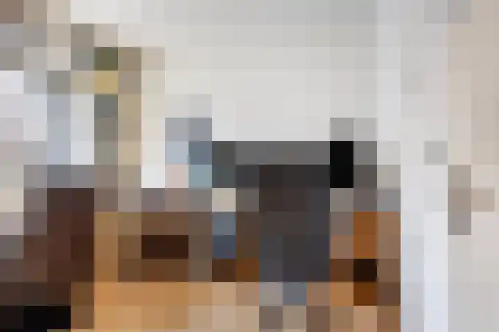 Eekschillersdreef 525 Apeldoorn thumbnail 20