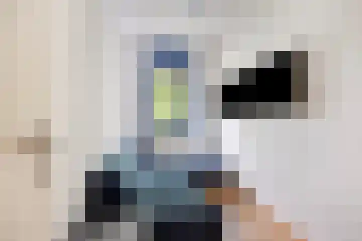 Eekschillersdreef 525 Apeldoorn thumbnail 22