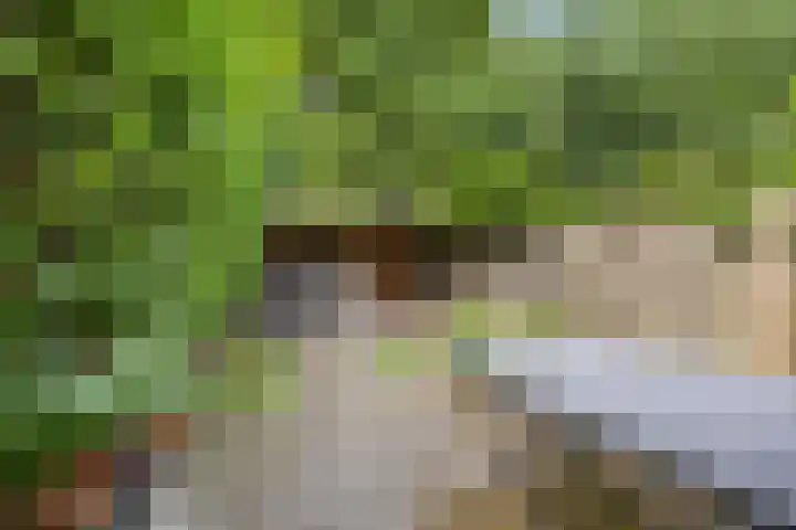 Eekschillersdreef 525 Apeldoorn thumbnail 28