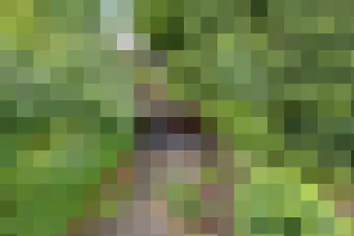 Eekschillersdreef 525 Apeldoorn thumbnail 29
