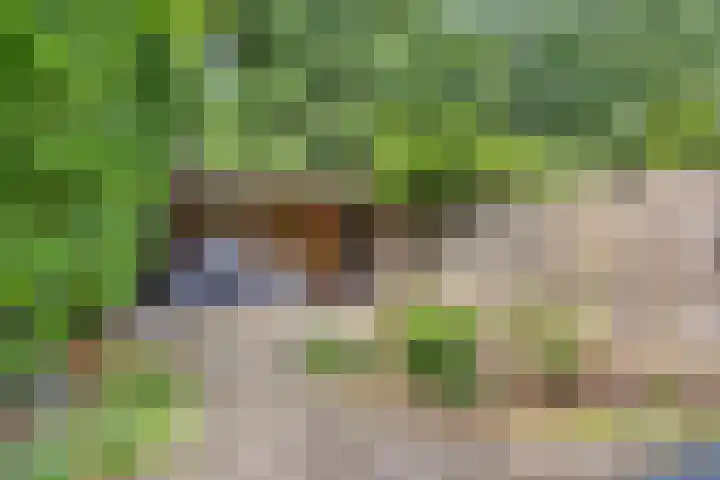 Eekschillersdreef 525 Apeldoorn thumbnail 30