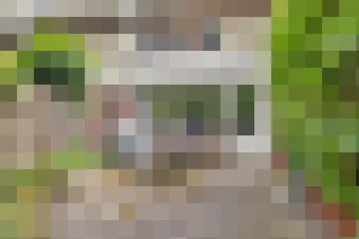 Eekschillersdreef 525 Apeldoorn thumbnail 31